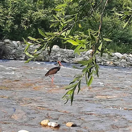 Gospodarstwo wiejskie Kozarik Mikuliczyn