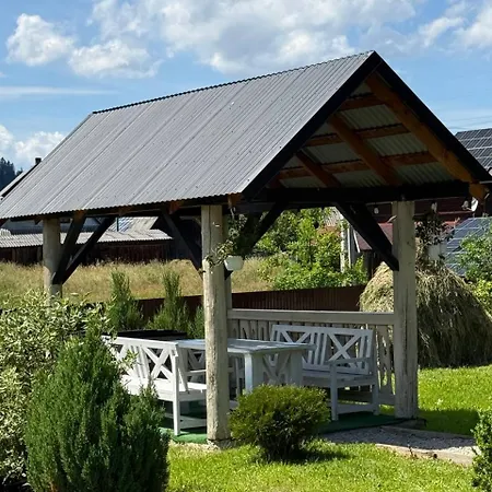 Kozarik *